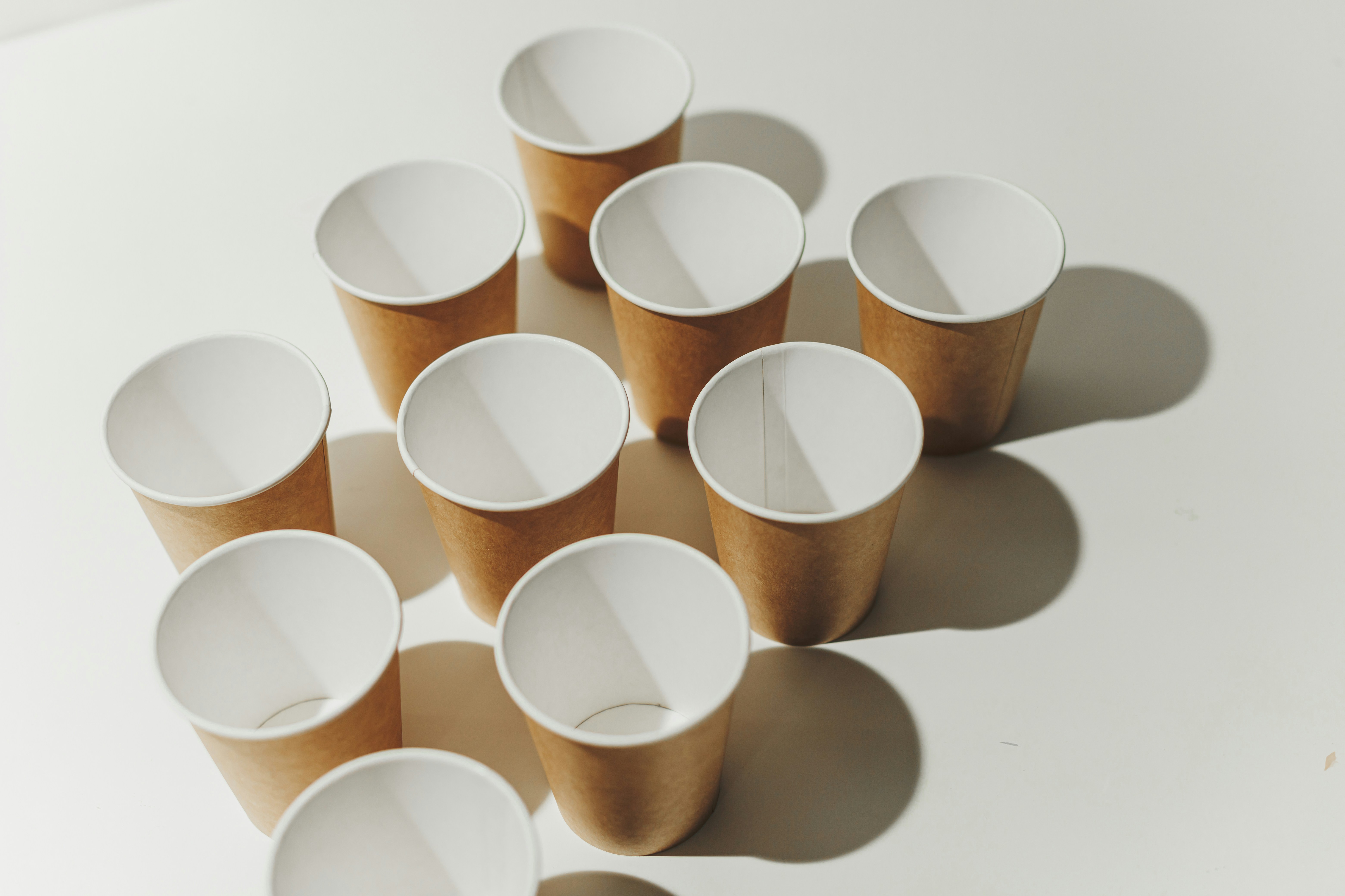 Paper Cups