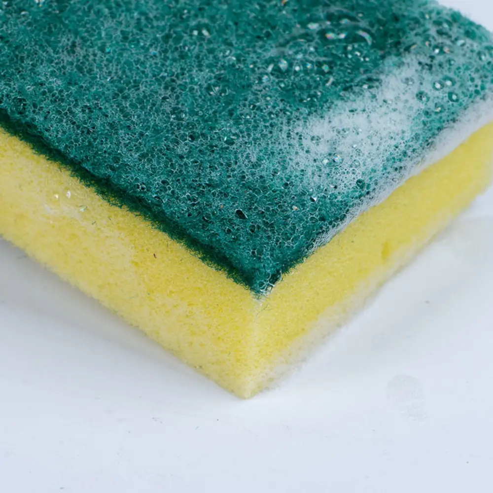 Scrub Sponge